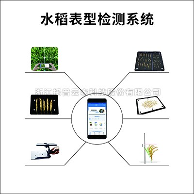 水稻表型檢測係統 水稻表型檢測係統