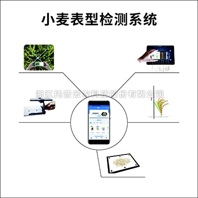 小麥表型檢測係統 小麥表型檢測係統