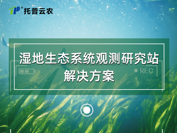 濕地生態係統觀測研究站解決方案