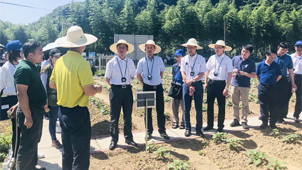 培訓班現場觀摩耕地質量監測點 培訓班現場觀摩耕地質量監測點