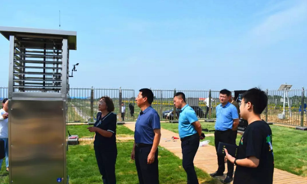 姚縣長在賈村鄉病蟲監測點對誘到的成蟲進行查看和詢問 姚縣長在賈村鄉病蟲監測點對誘到的成蟲進行查看和詢問