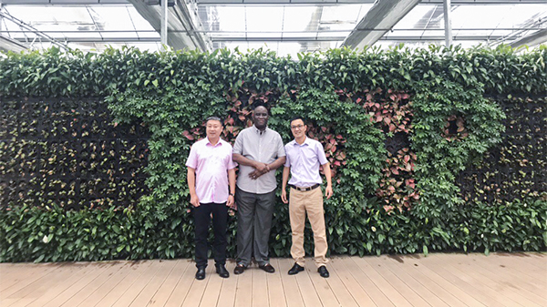 尼日利亞農業銀行行長來訪成人看片网站 尼日利亞農業銀行行長來訪成人看片网站