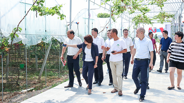 參觀大棚智能控製係統 參觀大棚智能控製係統