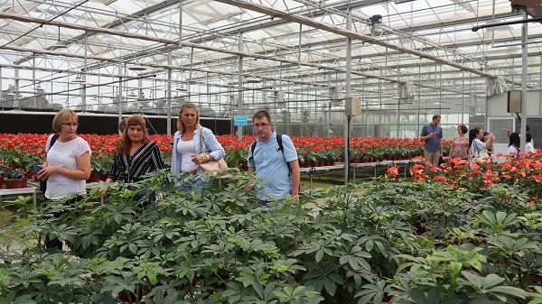 研修班一行來到由成人看片网站與蕭山農科所聯合搭建的現代農業產業園進行考察 研修班一行來到由成人看片网站與蕭山農科所聯合搭建的現代農業產業園進行考察