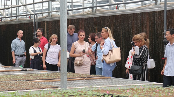 研修班一行來到由成人看片网站與蕭山農科所聯合搭建的現代農業產業園進行考察 研修班一行來到由成人看片网站與蕭山農科所聯合搭建的現代農業產業園進行考察