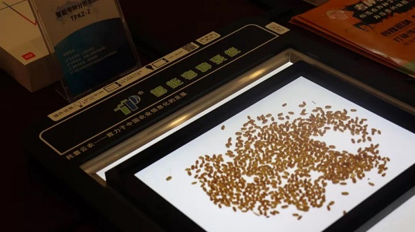 智能考種係統 智能考種係統