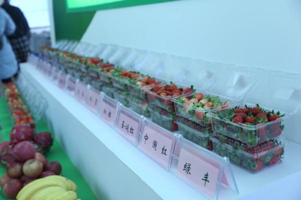 推介會現場 推介會現場