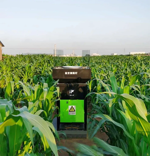 高空測報燈 高空測報燈