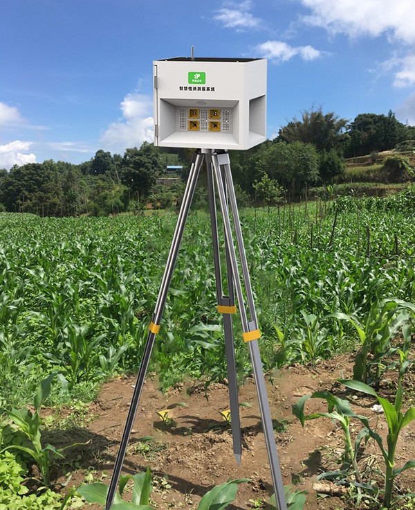 害蟲性誘智能測報係統 害蟲性誘智能測報係統