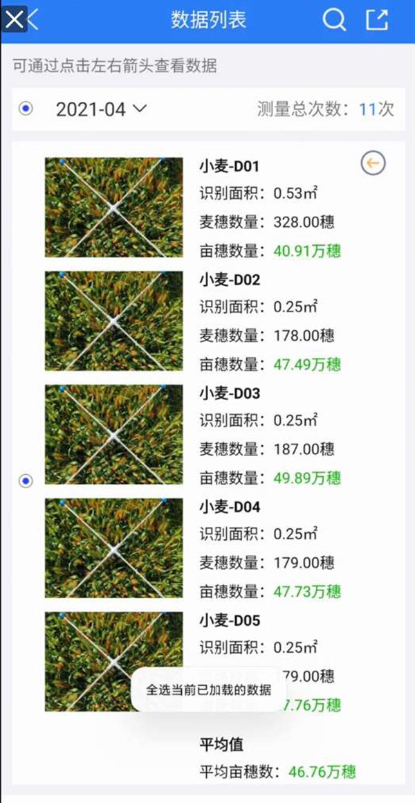 小麥畝穗數測量係統 小麥畝穗數測量係統