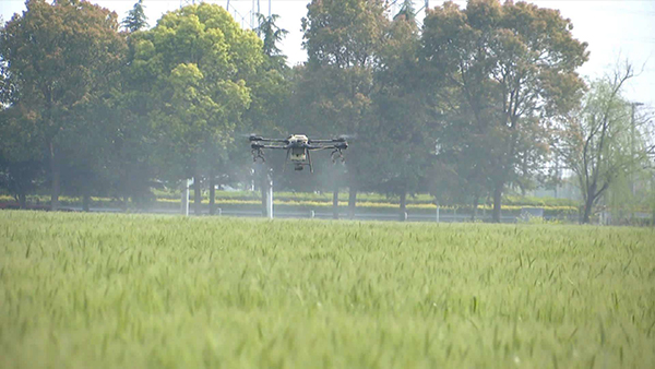 “無人農場”示範基地 “無人農場”示範基地