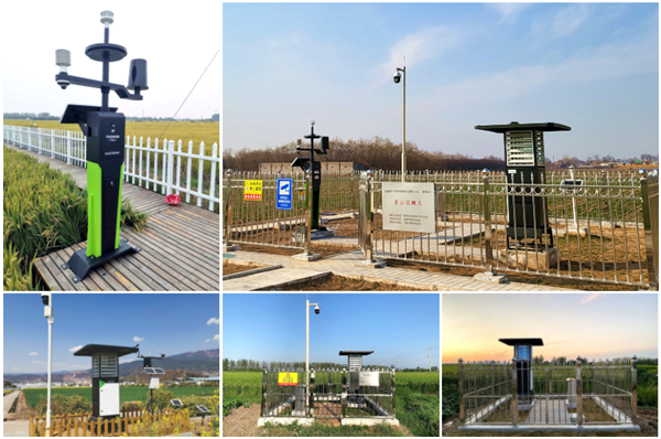 1649314040141397.png 3.png