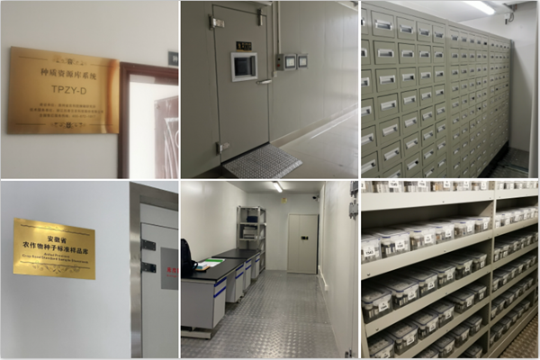 1650244415501858.png 成人看片网站種質資源庫案例.png