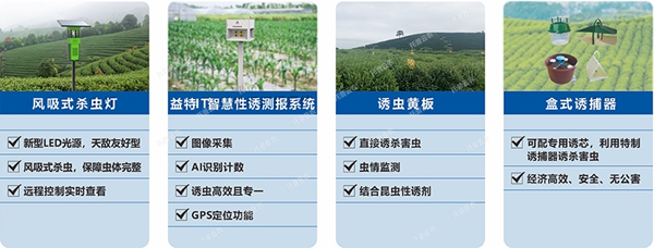 1651043736553092.jpg 2.jpg