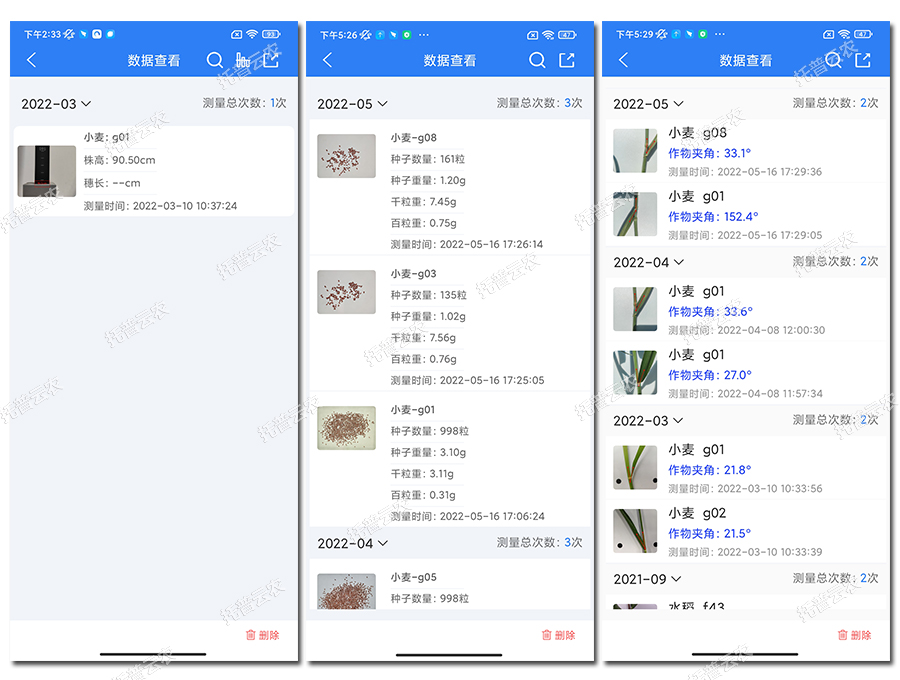 小麥表型檢測儀數據結果 小麥表型檢測儀數據結果