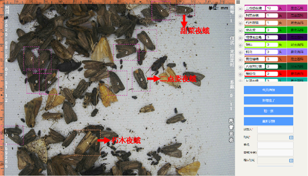 1654666050560053.png 圖片3.png