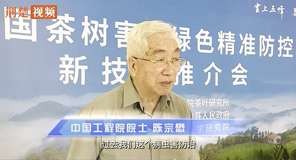 全國茶樹病蟲綠色精準防控技術推介會舉行 全國茶樹病蟲綠色精準防控技術推介會舉行