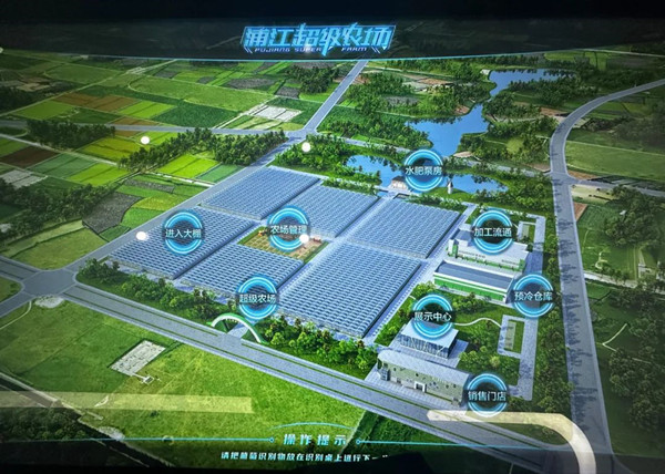 浦江“超級農場” 浦江“超級農場”