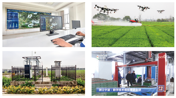 寧波海曙古林數字大田 寧波海曙古林數字大田