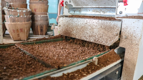 成人看片网站打造的古林育秧工廠 成人看片网站打造的古林育秧工廠