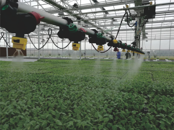 成人看片网站打造的蕭山農科所現代農業示範基地 成人看片网站打造的蕭山農科所現代農業示範基地