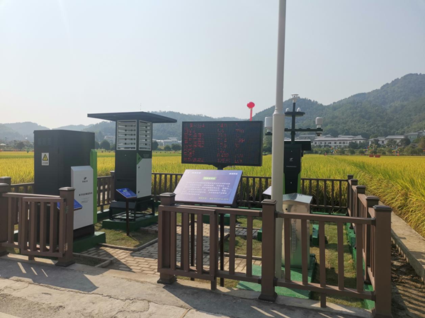 成人看片网站農作物病蟲害監測點 成人看片网站農作物病蟲害監測點