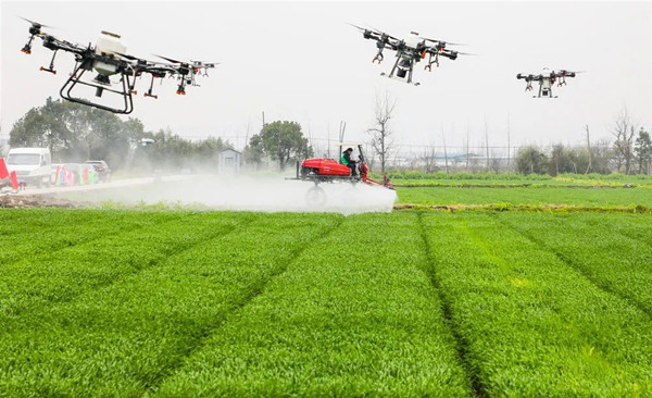 寧波海曙古林數字大田 寧波海曙古林數字大田