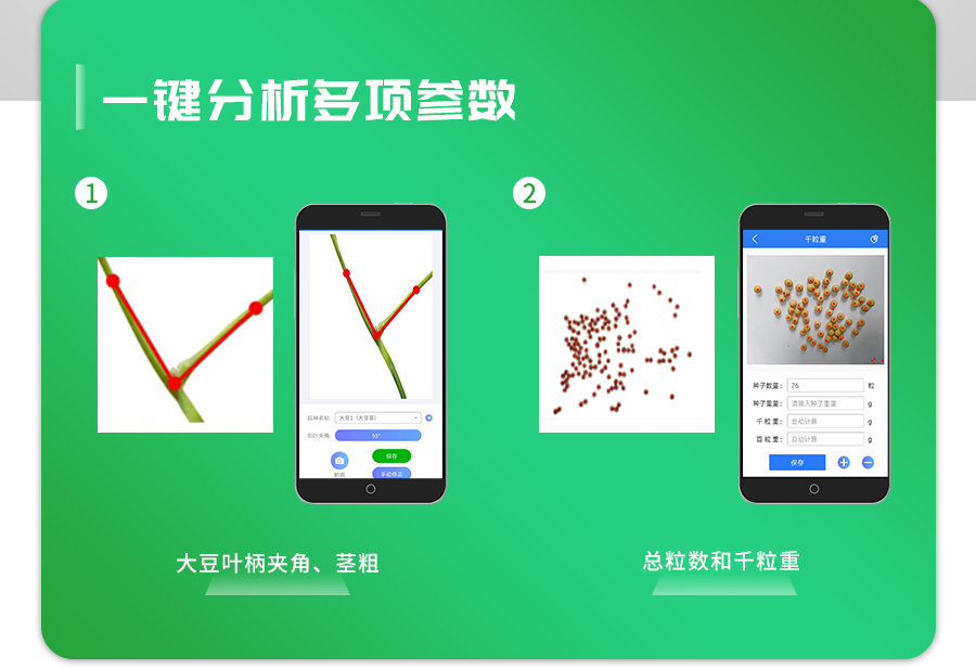 大豆表型檢測儀 大豆表型檢測儀