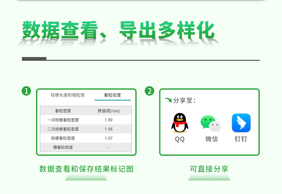 水稻整穗考種測量係統 水稻整穗考種測量係統