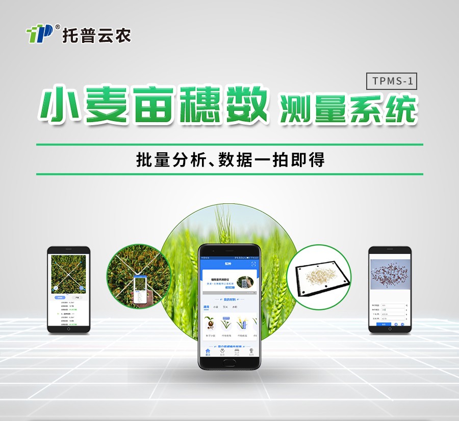 小麥畝穗數測量儀 小麥畝穗數測量儀