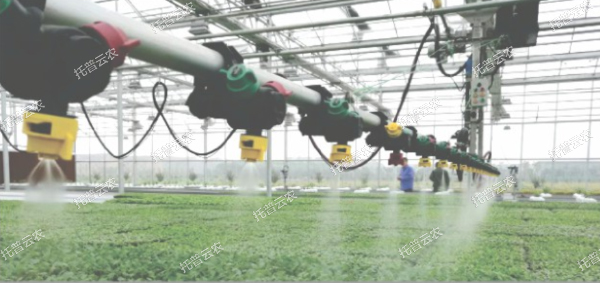 1685944741417644.jpg 11.jpg