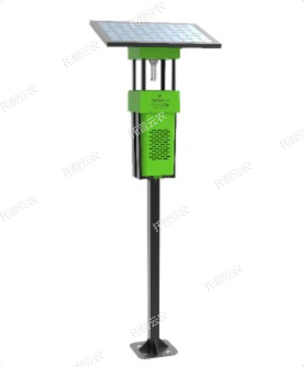 1685947344605320.jpg 9.jpg