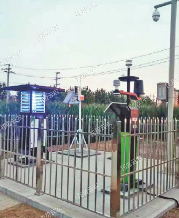 1685948548375480.jpg 9.jpg