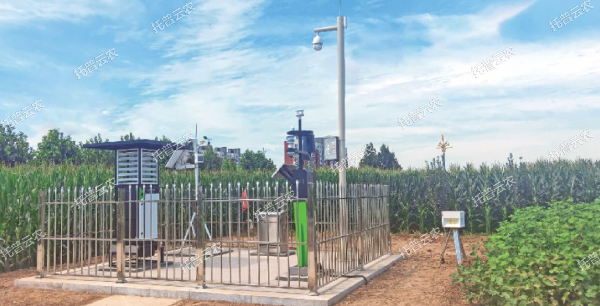 1685950254931398.jpg 5.jpg