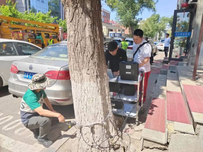 1688534601573534.jpg 4.jpg