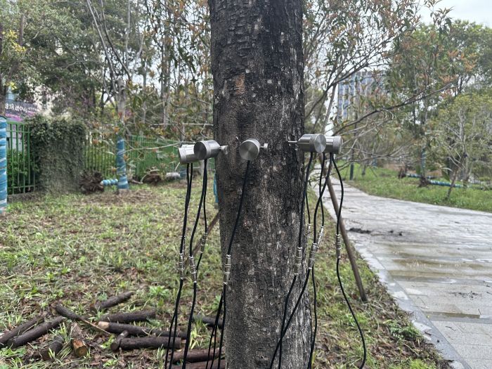 1688535027662675.jpg 10.jpg