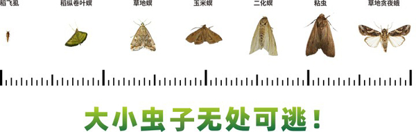 1690435440301941.jpg 4.jpg