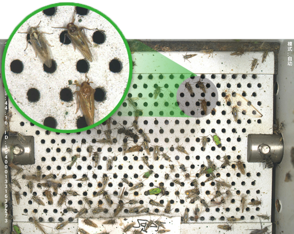 1690436683305035.png 22.png