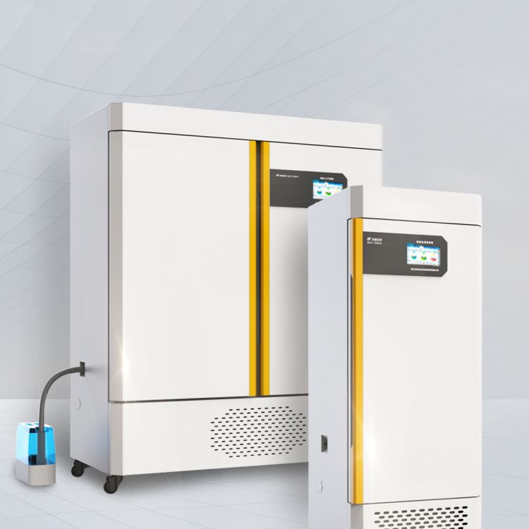 1693472266649889.jpg 3.jpg