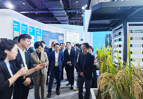 1699606491499693.jpg SEO用圖6.jpg