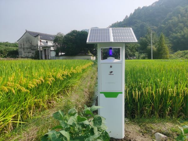 1702957909696551.jpg 1.jpg