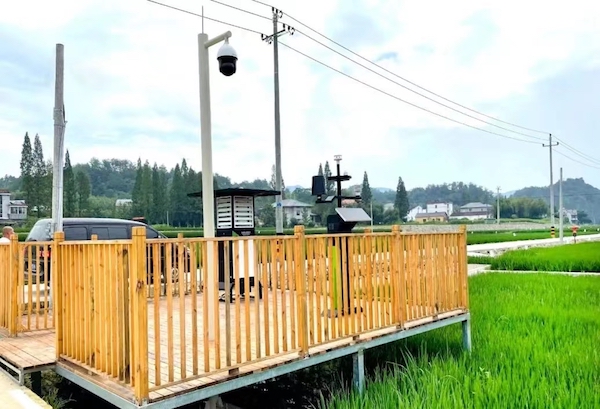 1711776817836807.jpg 臨安太陽鎮數字化高標準農田實景圖.jpg