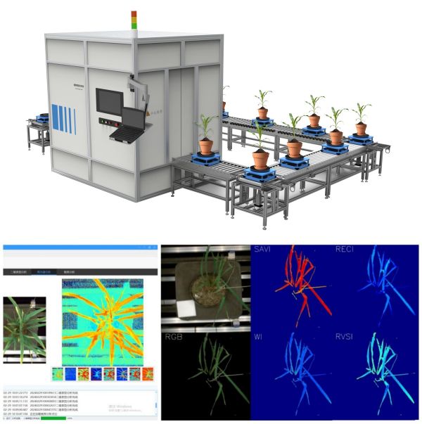 1716972640759713.jpg seo (3).jpg