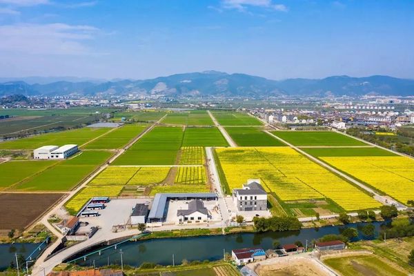 1717403369789214.jpg 11.jpg