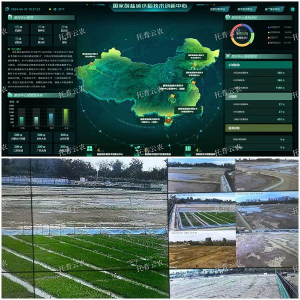 1720166993960800.jpg SEO (3).jpg