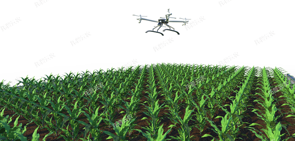 1722997194721459.png 田間無人機式植物高通量表型采集分析平台_600.png