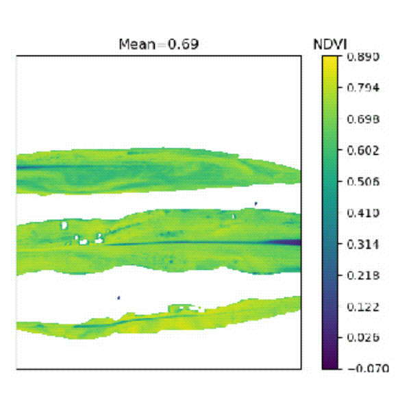 1723096144128285.gif 高光譜 動圖.gif
