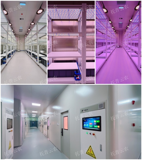 1723800437497199.jpg 圖片9_副本.jpg