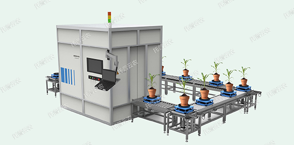 1724142836886487.jpg 7.jpg