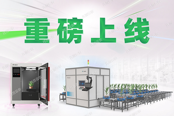 1725441409182349.jpg 1.jpg